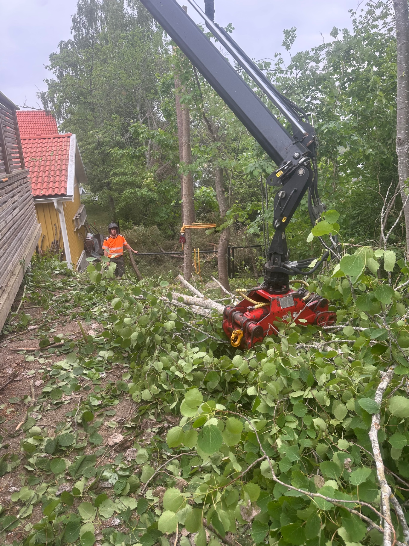Trädfällning med kranbil på villatomt i Dalarö, Haninge